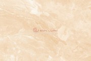 Gạch Ốp Lát APODIO 66282015